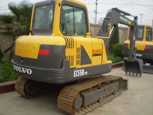 �֠���55�ھ�C